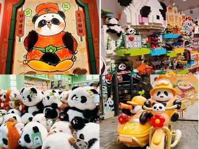 城市文化与传播学院开展专题调研及“IDEA苏州”大赛宣讲，聚焦数字文化创意软件开发